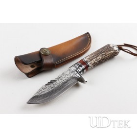 High grade VG10 Damascus antler Gladiator fixed knife UD405135